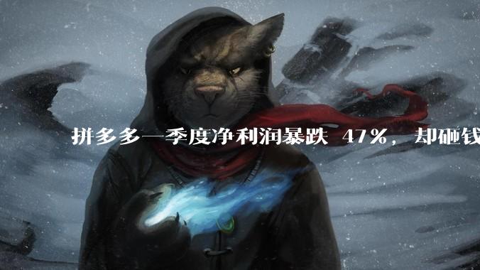 拼多多一季度净利润暴跌 47%，却砸钱搞「千亿扶持」，这是「赔本赚吆喝」还是「长期主义的战略坚持」？